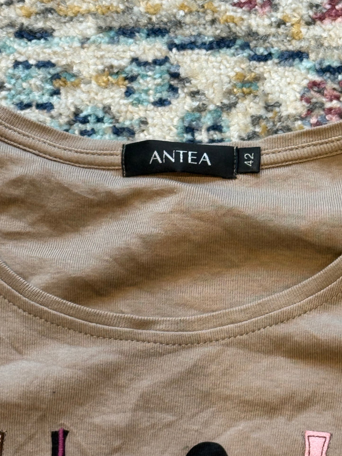 Vintage graphic taupe long sleeve top
